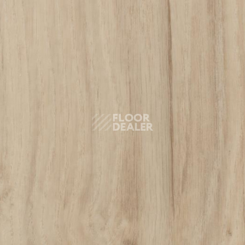 Кварцвиниловые полы Forbo Allura Click Decibel 60305 фото 1 | FLOORDEALER