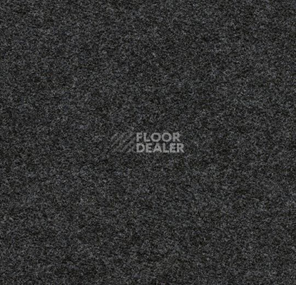 Ковролин Forbo Flotex wonderlab 07 900269 Carbon фото 1 | FLOORDEALER