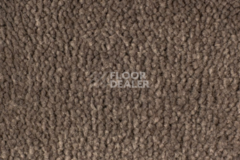 Ковролин Edel Vanity 173 фото 1 | FLOORDEALER
