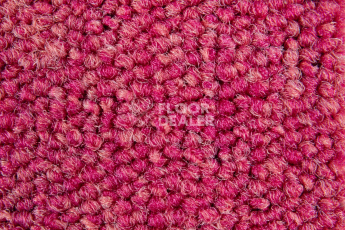 Balsan Season - Summer / Winter 550 фото 2 | FLOORDEALER