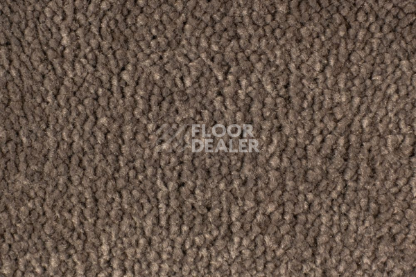 Ковролин Edel Vanity 173 фото 1 | FLOORDEALER