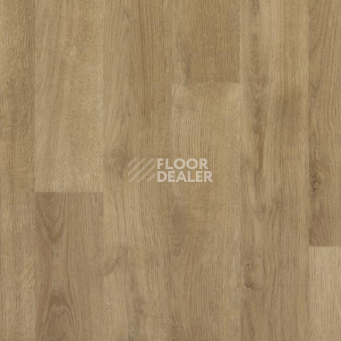 Линолеум Forbo SureStep Wood Decibel 71892 фото 1 | FLOORDEALER
