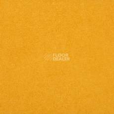 Линолеум Gerflor Taralay Initial Compact (Plain & allover look) 0952 Miami Soleil фото 1 | FLOORDEALER