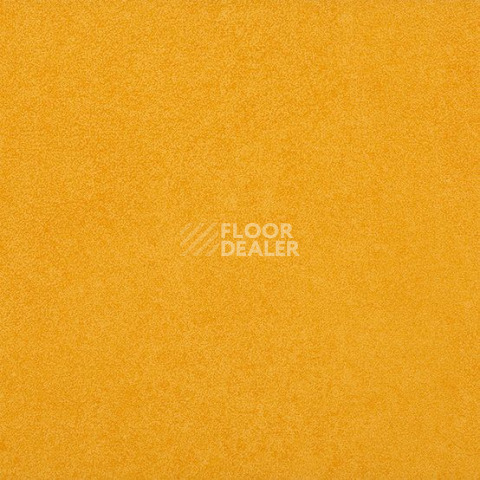 Линолеум Gerflor Taralay Initial Compact (Plain & allover look) 0952 Miami Soleil фото 1 | FLOORDEALER