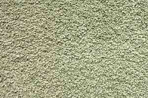 Ковролин Shaw Cashmere IV 302 фото  | FLOORDEALER