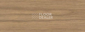 Плинтус Dollken EP 60/13 2695 фото 2 | FLOORDEALER