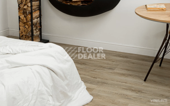 Vinilam Cork Premium Click 8мм 33488 Дуб Валенсия фото 7 | FLOORDEALER