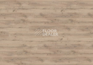 Ламинат Wineo 700 Wood XXL V4 8мм LA228XXLV4 Дуб Шведский Светло-Коричневый фото 1 | FLOORDEALER