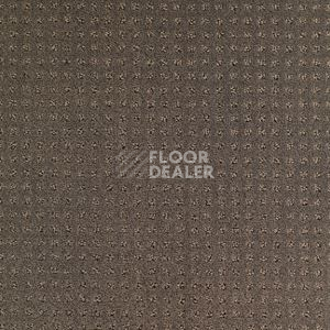 Ковролин Balsan Territoires Atrium 771 фото 1 | FLOORDEALER