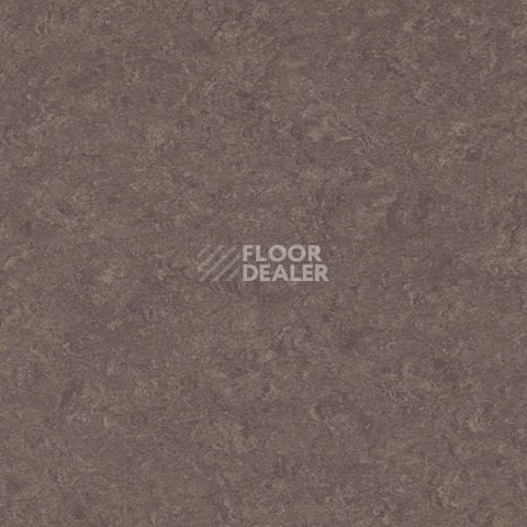 Линолеум Gerflor Marmorette DLW  2mm 0089 Peacan Pie фото 1 | FLOORDEALER