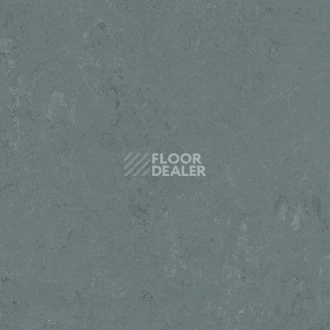 Линолеум Forbo Marmoleum Decibel on Order 375635 Neptune фото 1 | FLOORDEALER