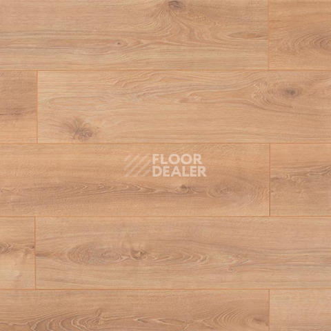 Ламинат Rooms Loft 10мм R1019A Дуб Кашмир фото 1 | FLOORDEALER