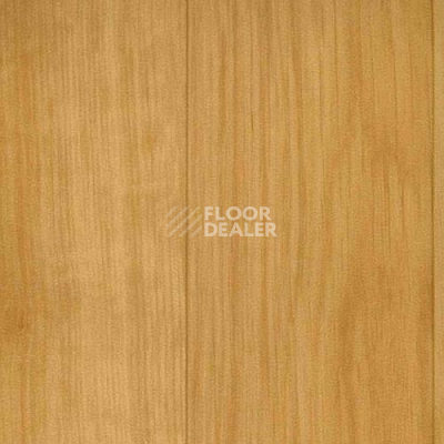 Линолеум Grabo Sport Elite 2519_371_279 фото 1 | FLOORDEALER