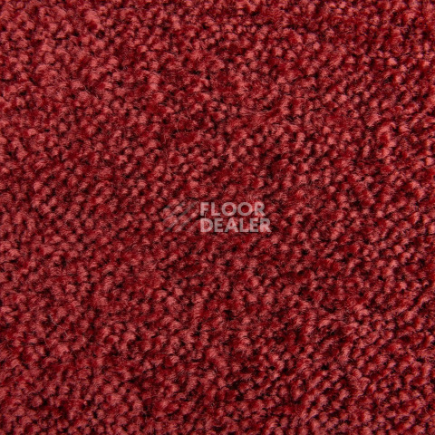 Lano Sense Pure 446 фото 3 | FLOORDEALER
