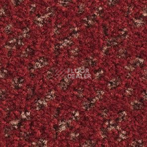 Ковролин Balsan Lounge Lounge 570 фото 1 | FLOORDEALER