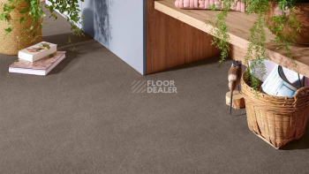 Vorwerk Superior 1072/Nutria Comfort Vorwerk 7g68 фото 2 | FLOORDEALER
