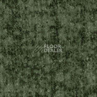 Ковролин AW Beau Rivage 24 фото 1 | FLOORDEALER