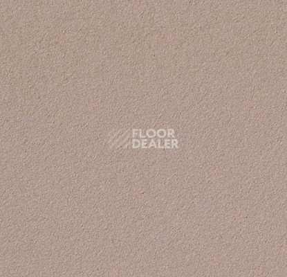 Линолеум Forbo Marmoleum Bulletin Board 2187 brown rice фото 1 | FLOORDEALER