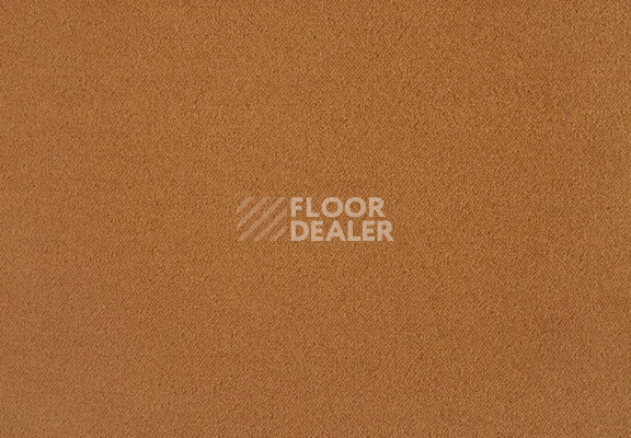 Ковролин Lano Zen 321 фото 1 | FLOORDEALER
