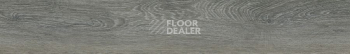 FineFloor FF-1800 Gear 1814 Франкоршам фото 2 | FLOORDEALER