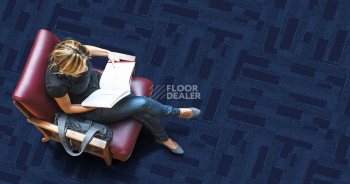 Standard Carpets City Square City Square 755 фото 2 | FLOORDEALER