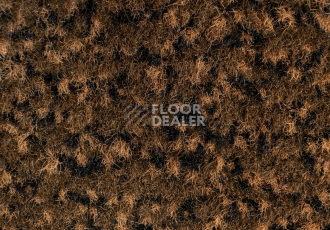 Forbo Coral Classic 4726 Auburn фото 3 | FLOORDEALER