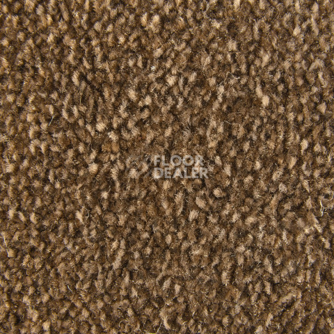 AW Masquerade Moretta 44 фото 2 | FLOORDEALER