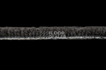 Standard Carpets A.I. 12755 фото 4 | FLOORDEALER