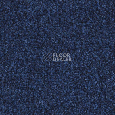 Ковровая плитка Balsan Bolero 195 фото 1 | FLOORDEALER