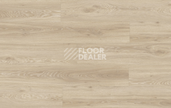 Moduleo Next Acoustic дерево VISTA OAK 330 BO фото 4 | FLOORDEALER