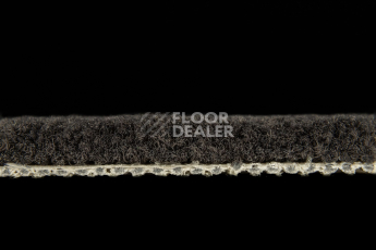 Balsan Les Best 990 фото 3 | FLOORDEALER