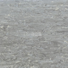 Линолеум Tarkett Alfa Standard Alfa 104 фото 1 | FLOORDEALER