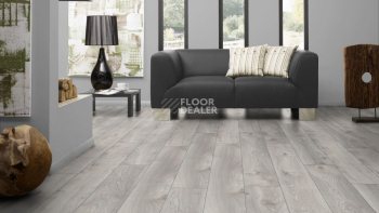 Kronotex Mammut Plus d4793 Дуб Белый Макро фото 4 | FLOORDEALER