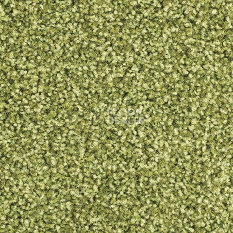 Ковролин Balsan Script 240 фото 1 | FLOORDEALER