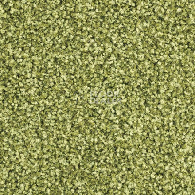 Ковролин Balsan Script 240 фото 1 | FLOORDEALER