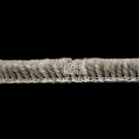 Standard Carpets A.I. 12711 фото 5 | FLOORDEALER