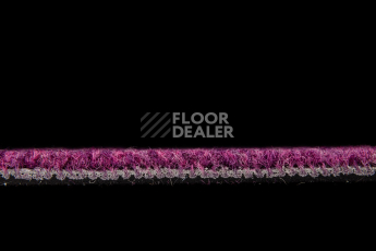 IVC Alternate 467 фото 3 | FLOORDEALER