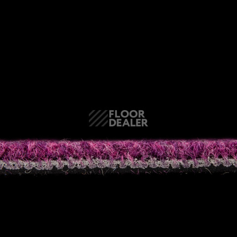 IVC Alternate 467 фото 3 | FLOORDEALER
