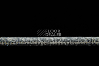 IVC Alternate 545 фото 4 | FLOORDEALER