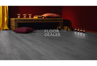Kronotex Mammut d3670 Дуб Макро Светло-серый фото 5 | FLOORDEALER