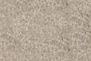 Ковролин Hidden Treasure Beaulie of America Egg Shell 07 фото  | FLOORDEALER