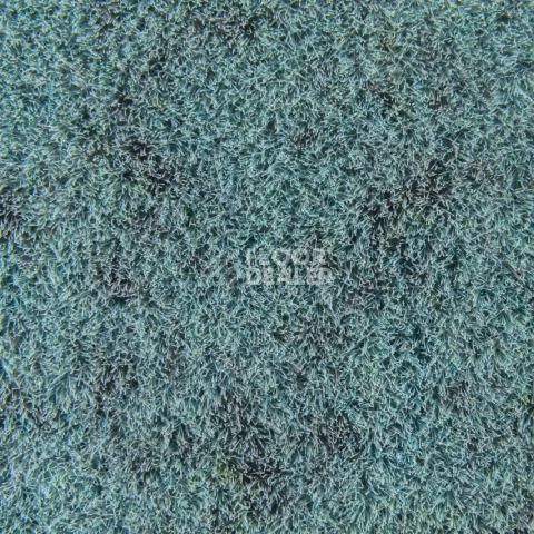 Forbo Flotex Colour Calgary 50*50 t 590004 Calgary Menthol фото 2 | FLOORDEALER