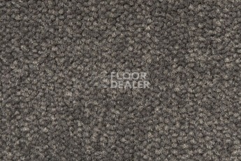 Ковролин AW Prima AW Prima 49 фото 1 | FLOORDEALER