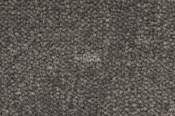Ковролин AW Prima AW Prima 49 фото 1 | FLOORDEALER