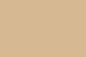 Ковролин Agnella Natural Self Dark Beige фото  | FLOORDEALER