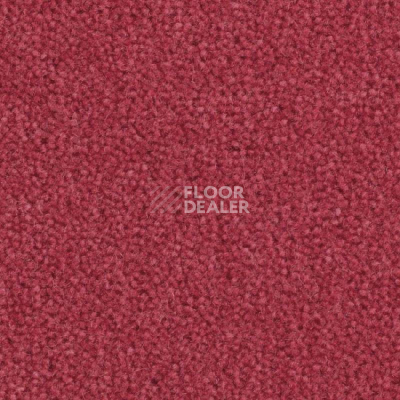 Ковролин Balsan Majestic 555 фото 1 | FLOORDEALER