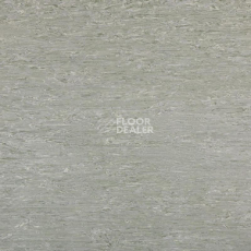 Линолеум Tarkett Alfa Standard Alfa 101 фото 1 | FLOORDEALER