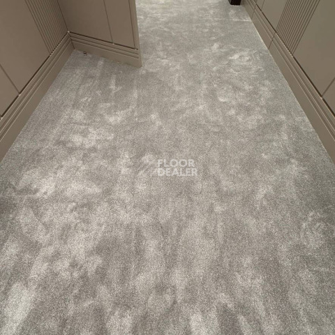 AW Masquerade Costanza 97 фото 10 | FLOORDEALER