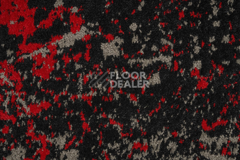 Innova Мираж q 492 05 фото 2 | FLOORDEALER