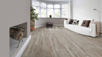 Kronotex Exquisit Plus d3662 Дуб Монтмело Серебряный фото 6 | FLOORDEALER